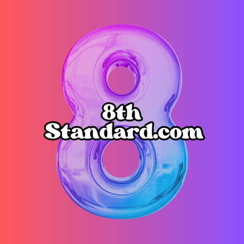 8thStandard.com Logo
